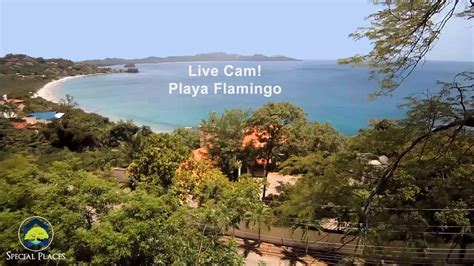 live nature cameras in costa rica